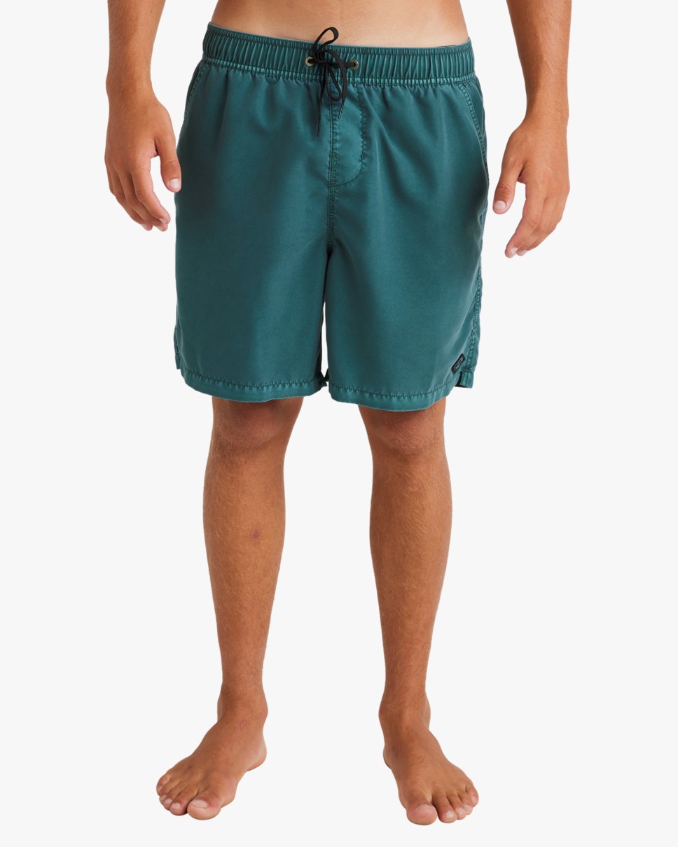 Mens All Day Overdye 17" Layback Boardshorts-Green
