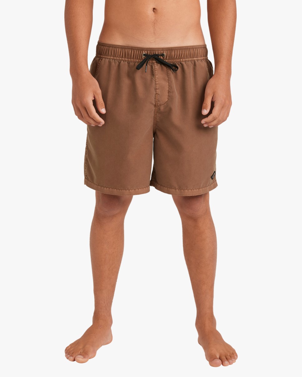 Mens All Day Overdye 17" Layback Boardshorts-Brown