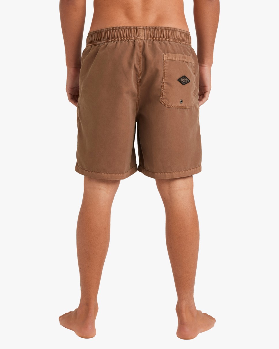 Mens All Day Overdye 17" Layback Boardshorts-Brown