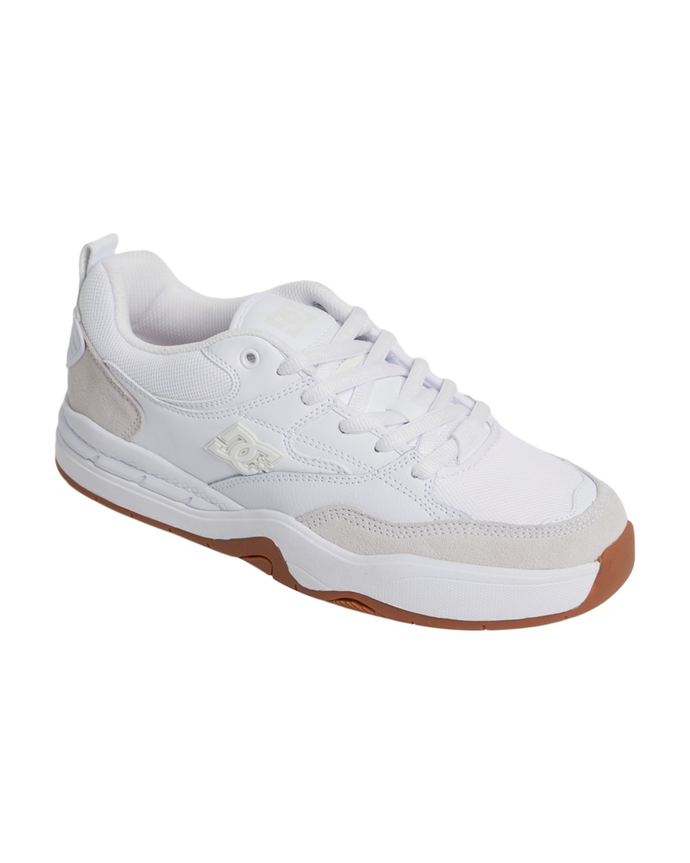 Mens DC Ascend Shoes (WG5)