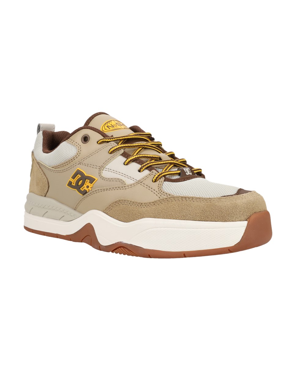 Mens DC Ascend LE Shoes (200)