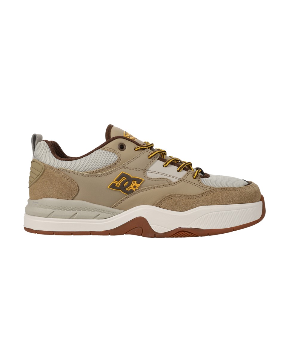 Mens DC Ascend LE Shoes (200)