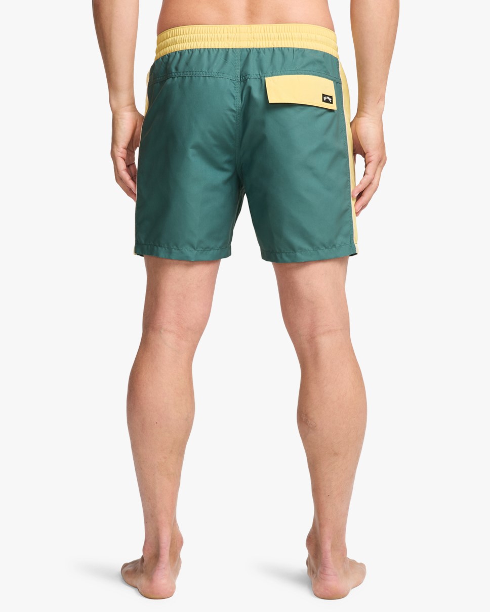 Mens Dbah Panel Layback Swim Shorts (BMR0)