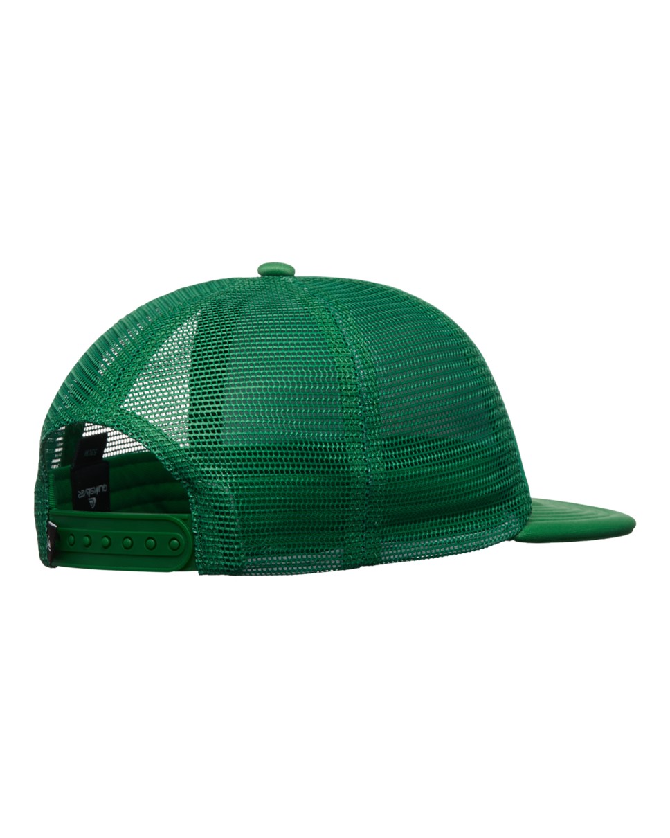 Boys 2-7 Classic Foam Trucker Cap (GNZ0)
