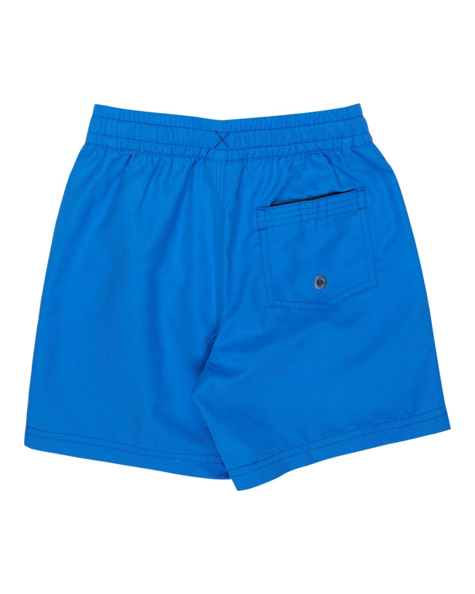 Boys 2-7 Everyday Volley 12" Swim Shorts (BQV0)