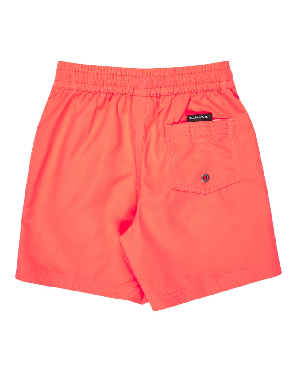 Boys 2-7 Everyday Volley 12" Swim Shorts (MKZ0)