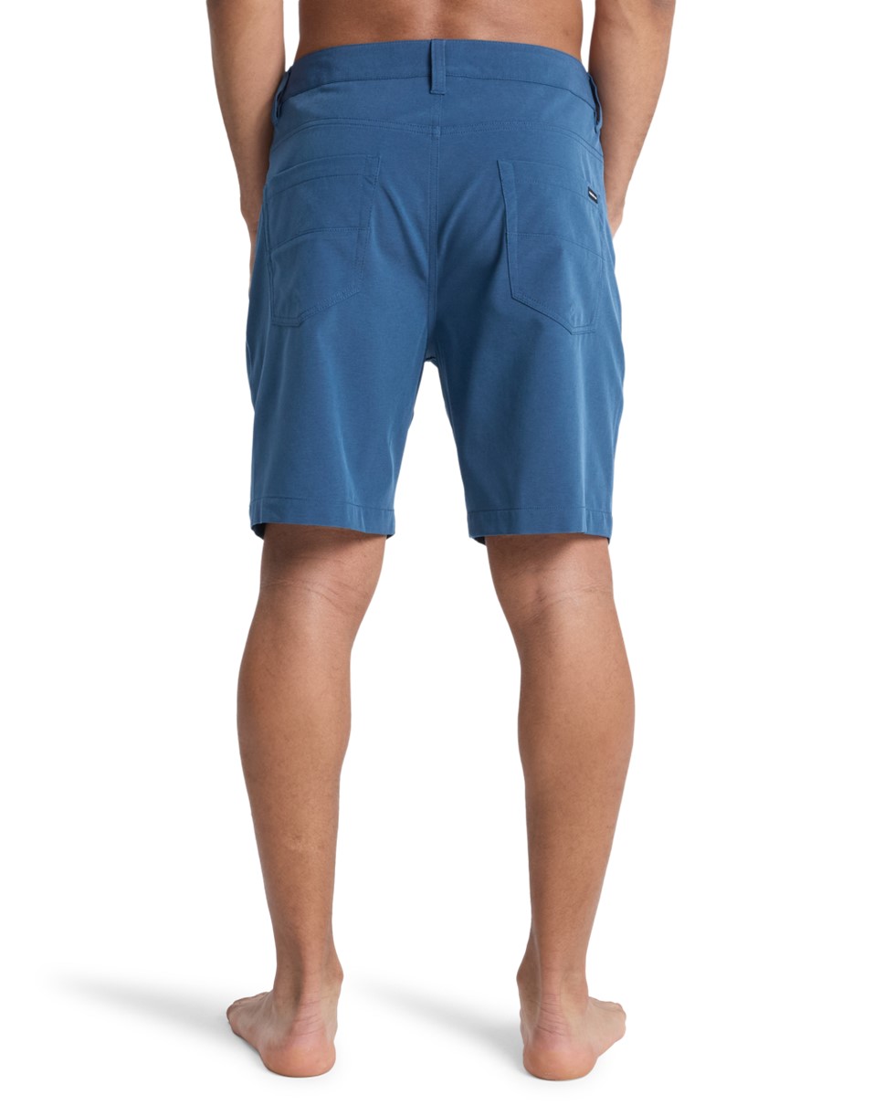 Mens Nelson Amph 18" Amphibian Boardshorts (BRQH)