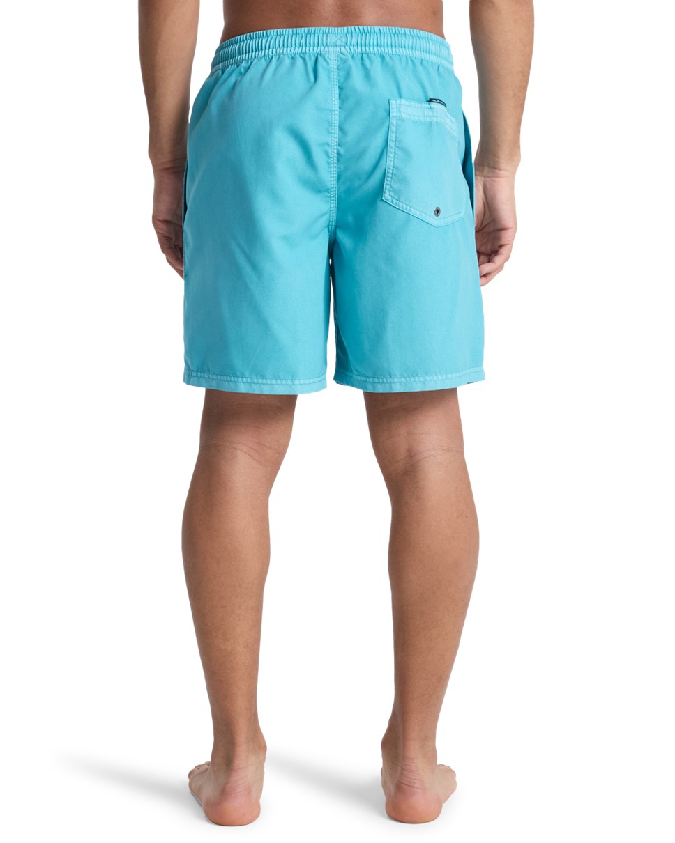 Mens Everyday Surfwash Volley 17" Swim Shorts (BJK0)