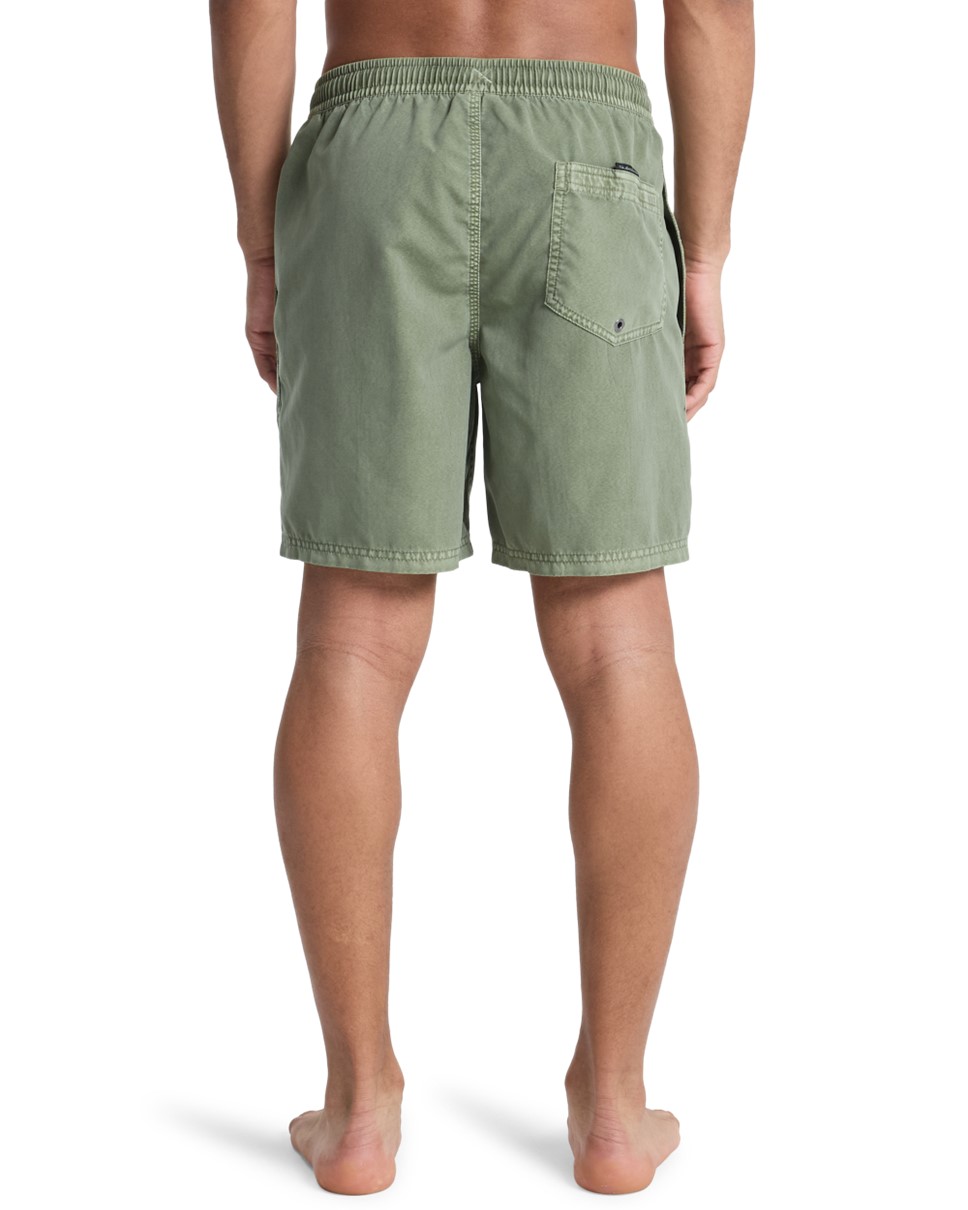 Mens Everyday Surfwash Volley 17" Swim Shorts (CRE0)