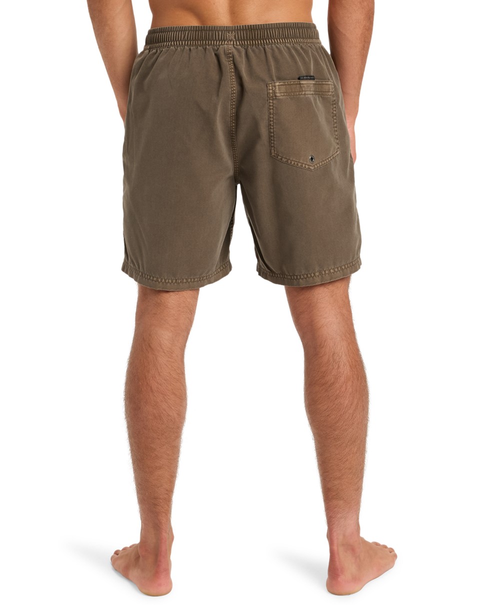 Mens Everyday Surfwash 17" Swim Shorts-Brown