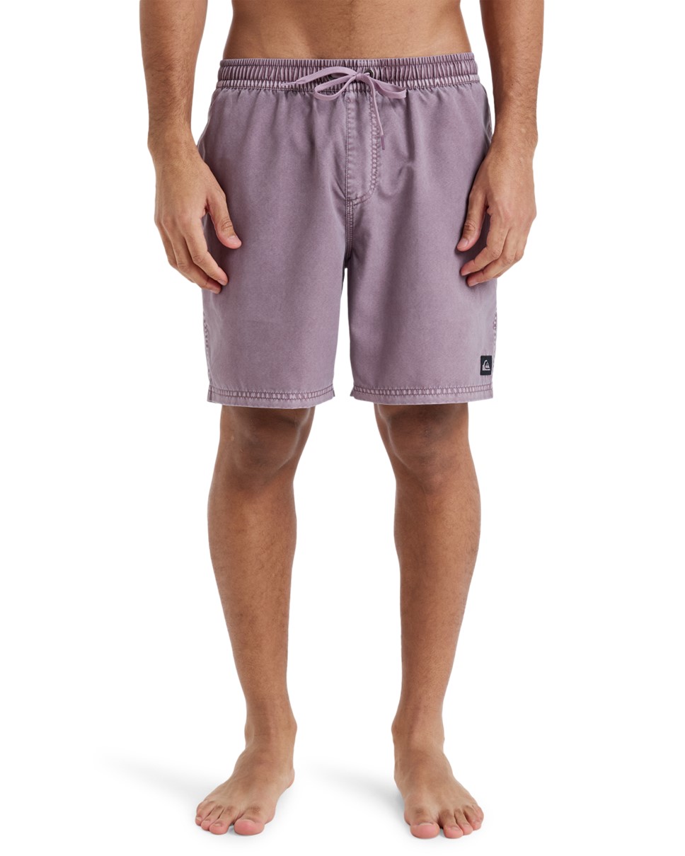 Mens Everyday Surfwash 17" Volley-Purple