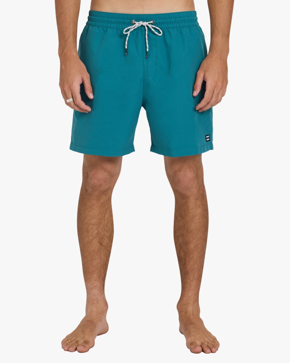 Mens All Day Layback 16" Boardshorts (BQL0)